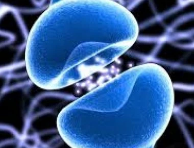 Πολλαπλή Σκλήρυνση: Υγιεινή διατροφή για να μειώσετε τον κίνδυνο κατά 50%